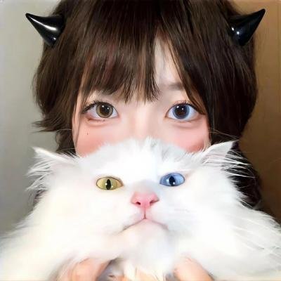托里和洛奇塔